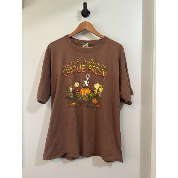 Vintage Other - Vintage Peanuts Charlie Brown Snoopy Pumpkin Brown Tee XL Y2K READ DESCRIPTION